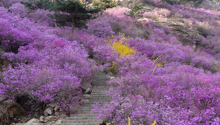 药王谷门票多少 药王谷门票多少钱