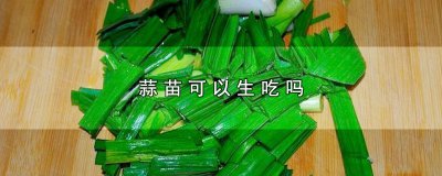 ​蒜苗可以生吃吗