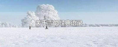 ​关于雪的经典语录