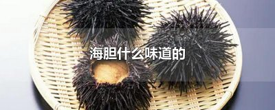 ​海胆什么味道的