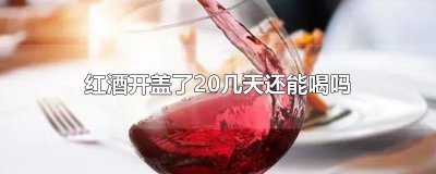 ​红酒开盖了20几天还能喝吗