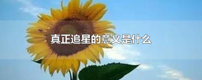 ​真正追星的意义是什么