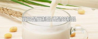 ​豆奶是豆制品还是奶制品