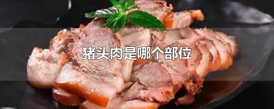 ​猪头肉是哪个部位