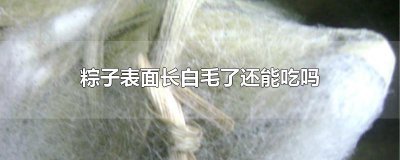 ​粽子表面长白毛了还能吃吗