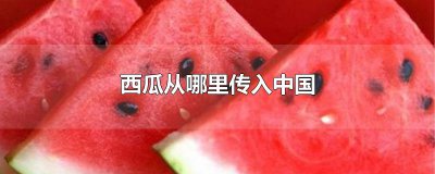 ​西瓜从哪里传入中国