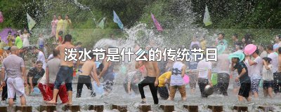 ​泼水节是什么的传统节日