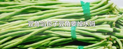 ​豆角馅包子豆角要焯水吗