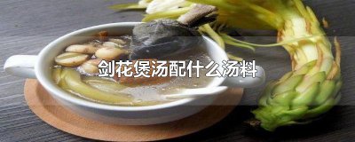 ​剑花煲汤配什么汤料