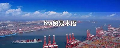 ​fca贸易术语