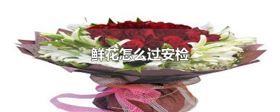 ​鲜花怎么过安检