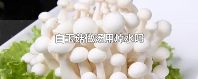 ​白玉菇做汤用焯水吗