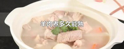 ​羊肉煮多久能熟