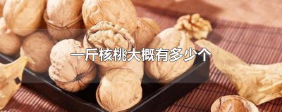 ​一斤核桃大概有多少个