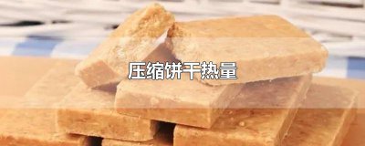 ​压缩饼干热量