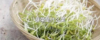 ​芽菜是什么菜