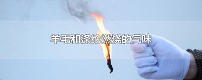 ​羊毛和涤纶燃烧的气味