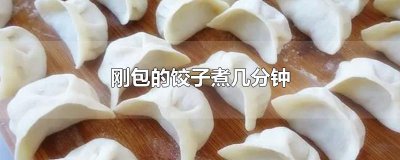 ​刚包的饺子煮几分钟