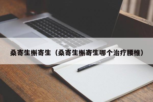 桑寄生槲寄生（桑寄生槲寄生哪个治疗腰椎）-图1