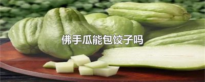 ​佛手瓜能包饺子吗