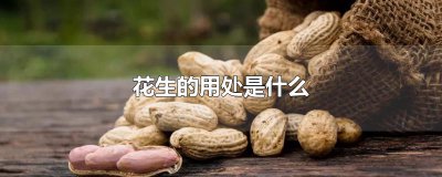 ​花生的用处是什么