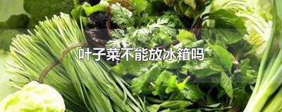 ​叶子菜不能放冰箱吗