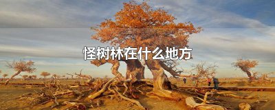 ​怪树林在什么地方