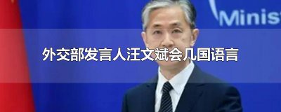 ​外交部发言人汪文斌会几国语言