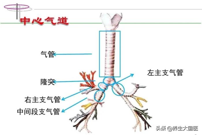 心里有股气堵着怎么办（像有东西堵在气管）