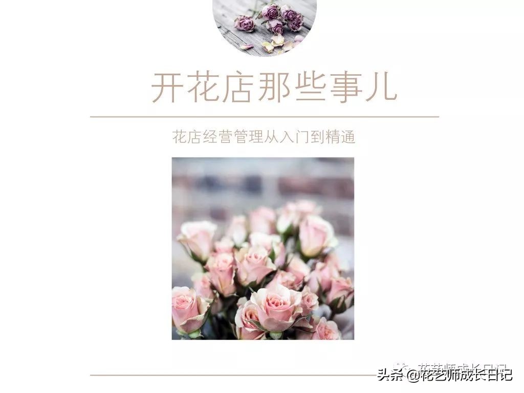 百合花代表什么意思（不同颜色百合花的花语大全）