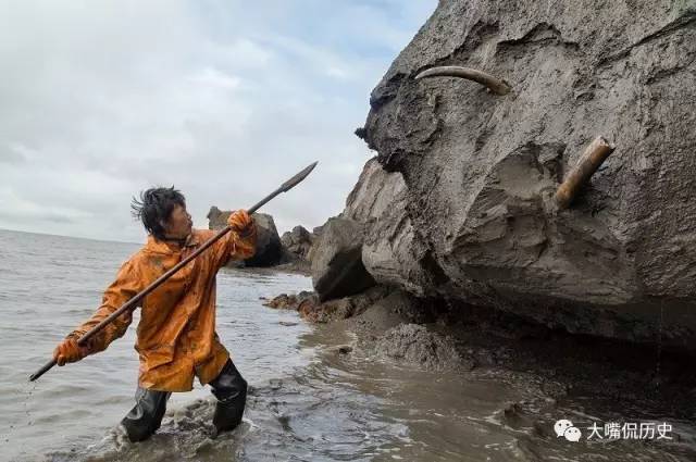 猛犸象化石在哪里出土（猛犸象的化石往往被做成工艺品）