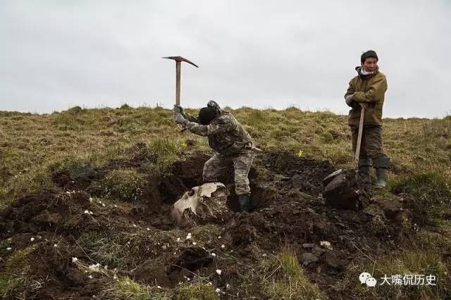 猛犸象化石在哪里出土（猛犸象的化石往往被做成工艺品）