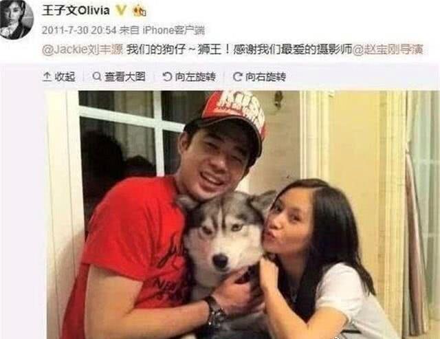 王子文老公个人资料（王子文隐婚儿子生父身份曝光）