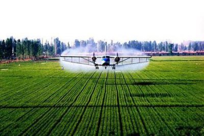 ​现在在中国农村种植什么有前景(未来农村种植什么最赚钱)