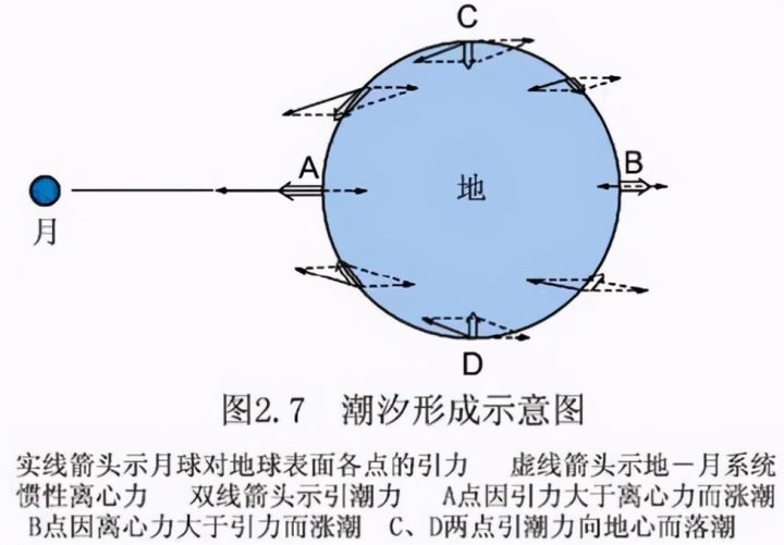 月球会不会自转和公转（科普关于月球的知识）