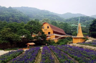 ​增城有哪些旅游景点（增城必去景点名单大全）