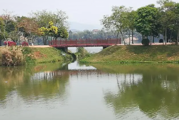 增城有哪些旅游景点（增城必去景点名单大全）(4)_