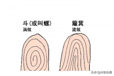 ​斗和簸箕的区别图片（科学家解锁斗与簸箕的奥秘）