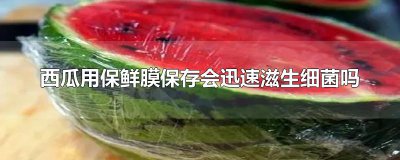 ​西瓜用保鲜膜保存会迅速滋生细菌吗