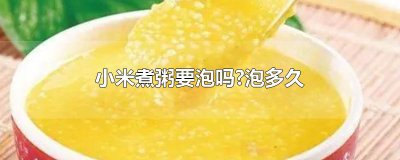 ​小米煮粥要泡吗?泡多久