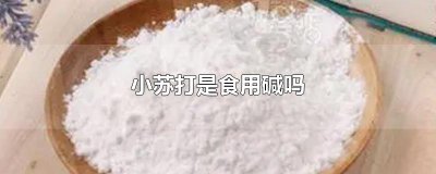 ​小苏打是食用碱吗