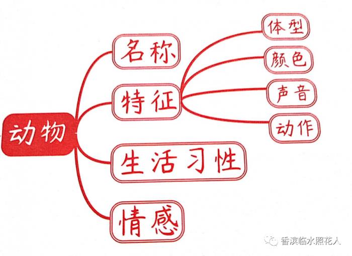 我的动物朋友作文200字（思维导图画作文-我的动物朋友）