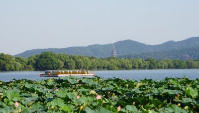 ​下有苏杭是指哪里