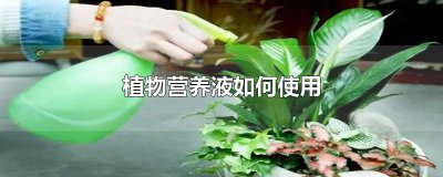 ​植物营养液如何使用