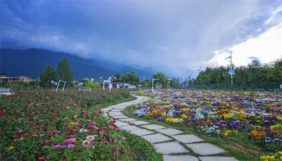 ​大理风花雪月指什么风景