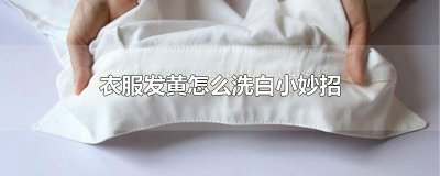 ​衣服发黄怎么洗白小妙招