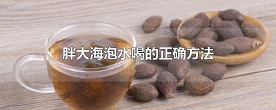 ​胖大海泡水喝的正确方法