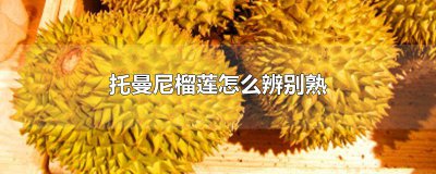 ​托曼尼榴莲怎么辨别熟