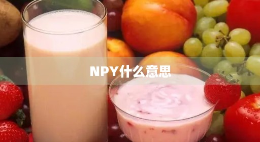 NPY什么意思