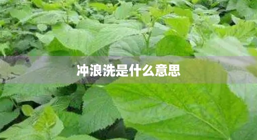 冲浪浸泡衣服常用干净15分钟洗浸泡啥叫区别干净干净是什么合适浸泡意思洗吗功能洗衣洗得洗得速洗海尔是什么